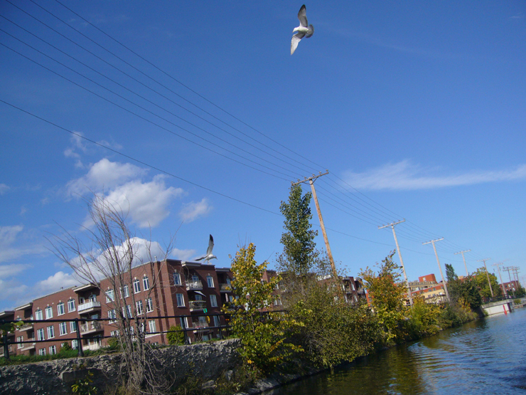 20060930_203332