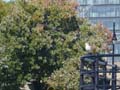 20060930_195110