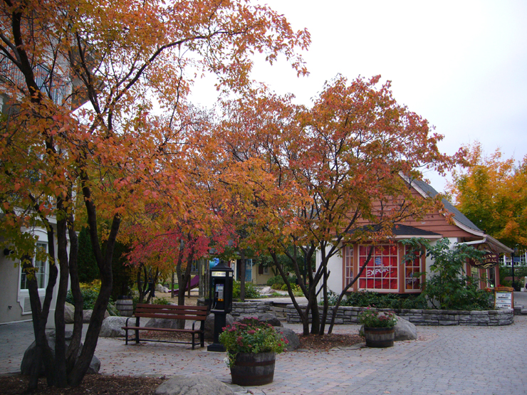 20061003_220024