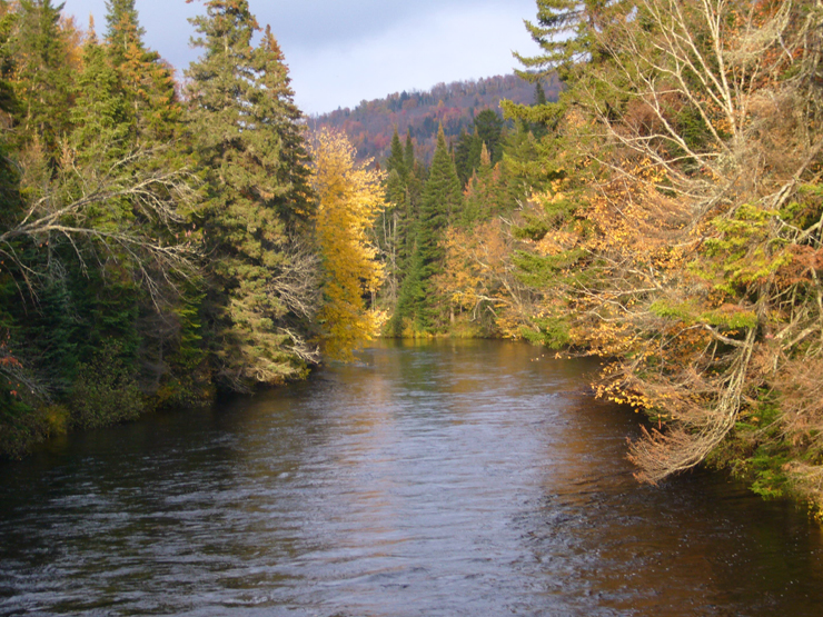 20061003_225754