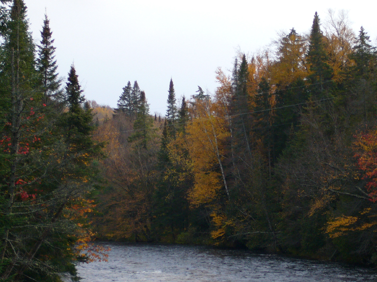 20061003_225944