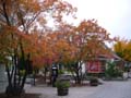 20061003_220024