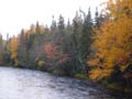 20061003_225812