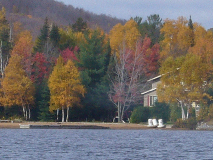 20061005_201024