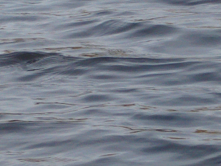 20061005_201148