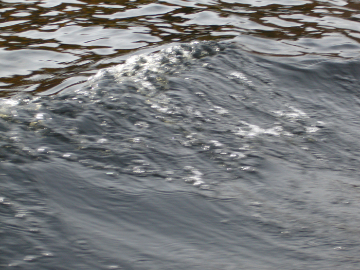 20061005_202338