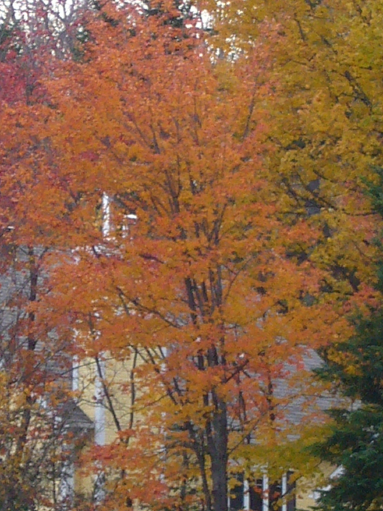 20061005_204456