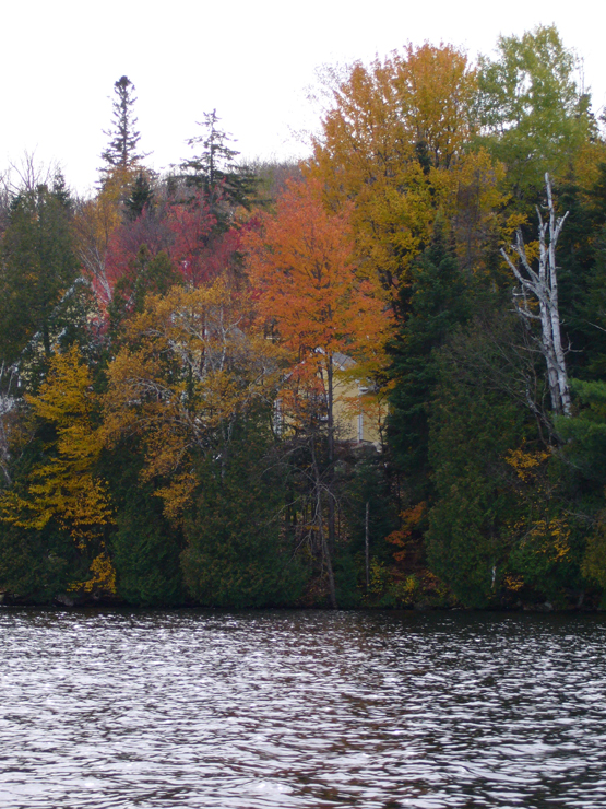 20061005_204504