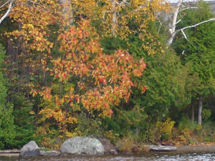 20061005_211420