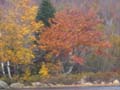 20061005_200954