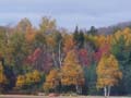 20061005_201044