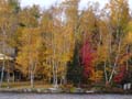 20061005_202928