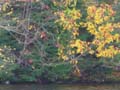 20061005_204206