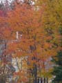 20061005_204456
