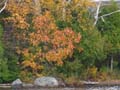 20061005_211420