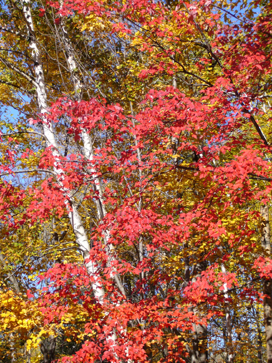 20061006_161426