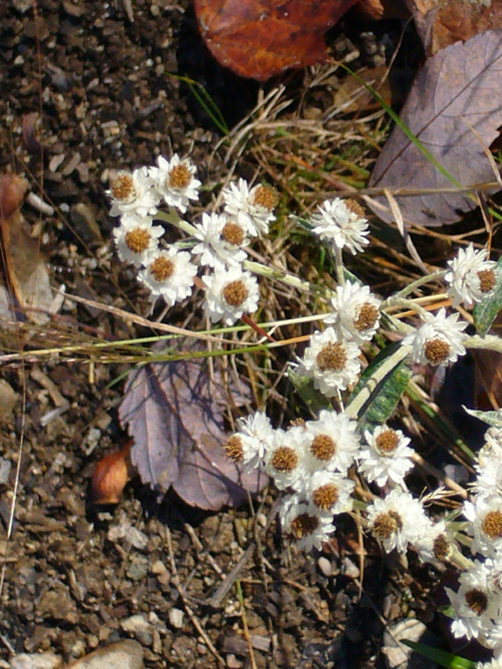 20061006_162928