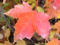 20061006_160244