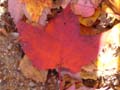 20061006_161326