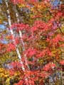 20061006_161426