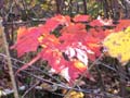 20061006_161846